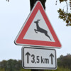 Achtung Wildwechsel! Warum gerade jetzt die Gefahr groß ist 