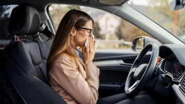 Pollen und Allergien beim Autofahren am Steuer