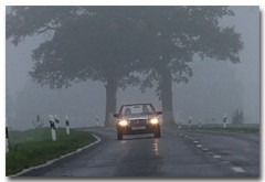 Geschwindigkeit bei Nebel nebel_230
