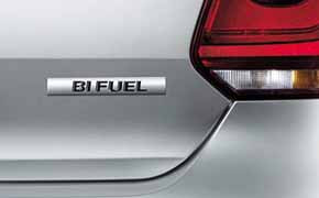 Polo BiFuel