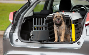 Hundeboxen, Kleinmetall