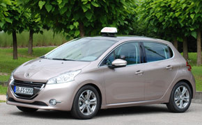 Peugeot 208, Gutachten, Pruefungstauglichkeit