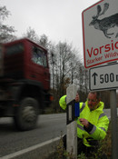 Wildunfallprojekt_Web