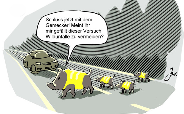 Vorsicht bei Wild auf der Straße 