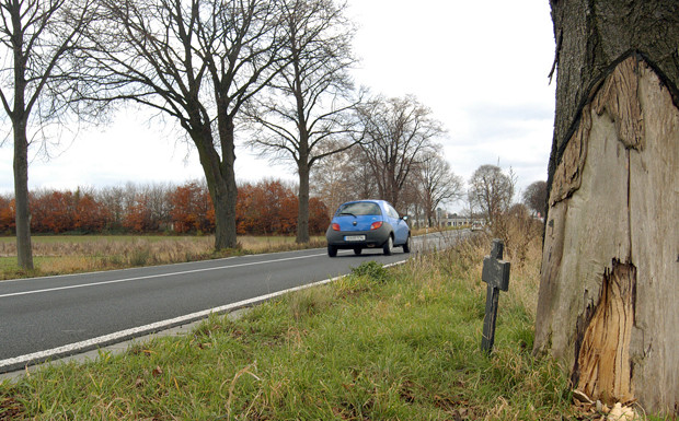 Video: Crashtest simuliert Landstraßenunfall