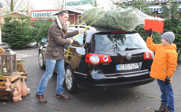 Video: So transportiert man den Weihnachtsbaum richtig