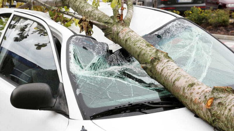 Sturmschäden am Auto