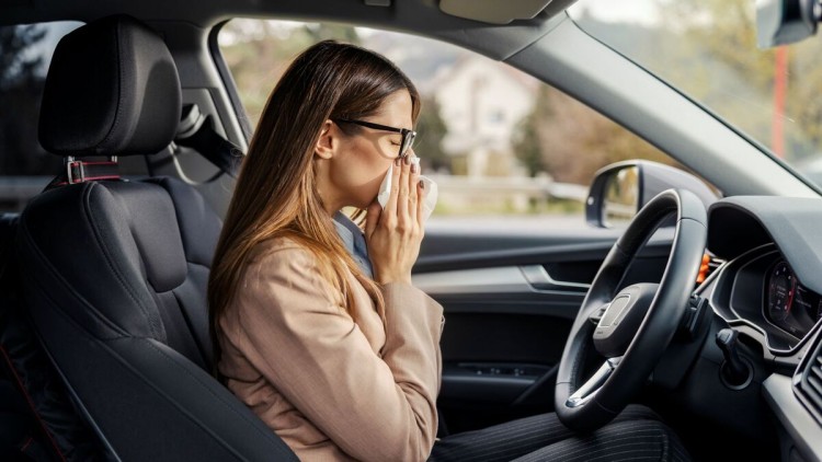 Pollen und Allergien beim Autofahren am Steuer
